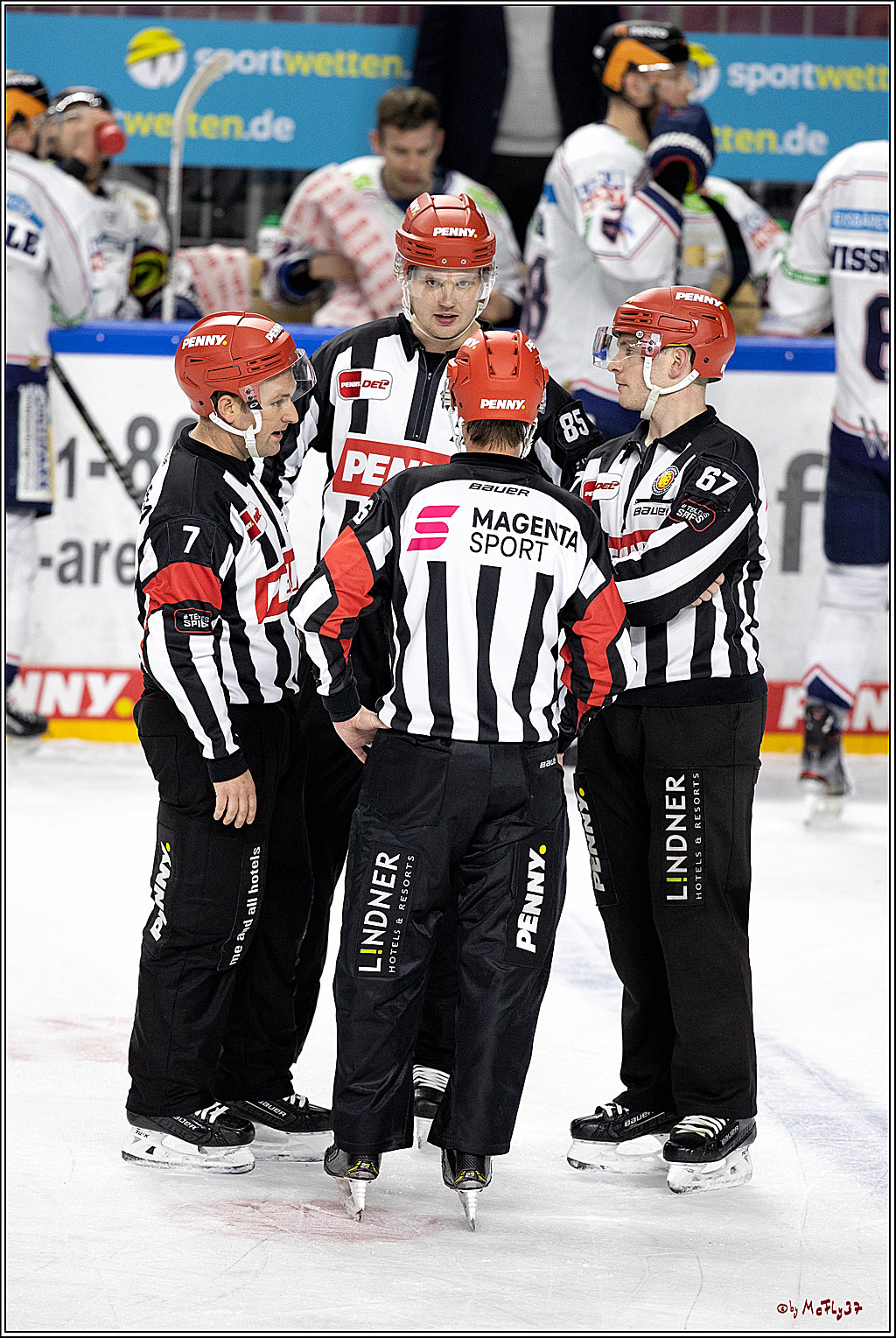 PENNY DEL;  Koelner Haie - Eisbaeren Berlin; Koeln, 28.12.2021